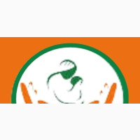 Client Support Officer and Data Entry Staff