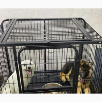 Black Metal Dog Cage