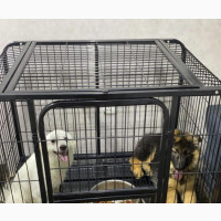Black Metal Dog Cage