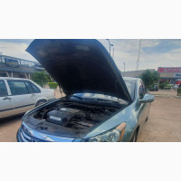 Honda Accord Sedan EX-L V-6 2010 Green