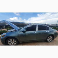 Honda Accord Sedan EX-L V-6 2010 Green