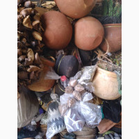 Decorated +256776880745 top native traditional healer / top notch lost love spell caster