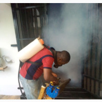 Smoke Fumigation Expert
