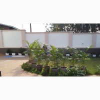 Landscaping, Garden Establishment