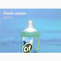 Floor Cleaner 950ml