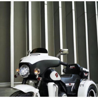 White Harley Davidson