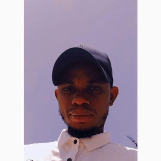 Professional Management CV
