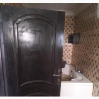 Mahogany Wooden Panel Doors