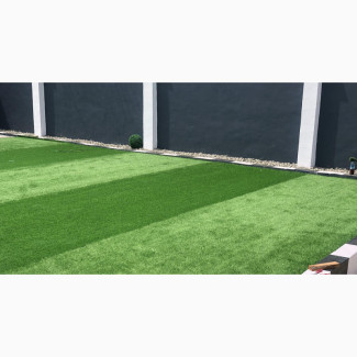 Green Grass for Kids