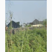 4 Plots of Land at Irette Owerri Imo State for Sale