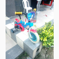 Thomas Character Children Bicycle Age (2 to 7)