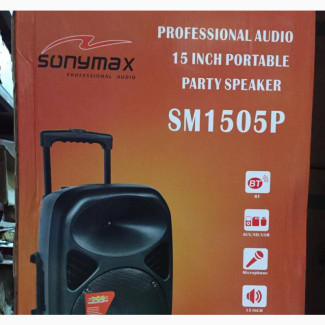 Rechargeable Bluetooth PA System - 2 Mic