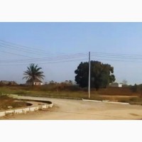 Buy a Land 60 by 100 in Zoe City Estate Emene Opp Innoson