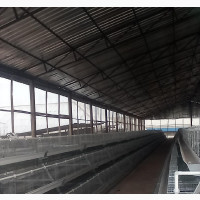 Poultry Farm Equipment