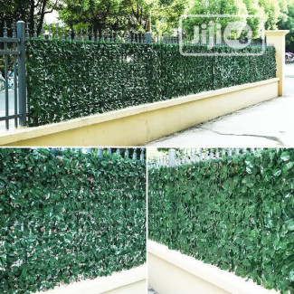 Wall Fence Grass