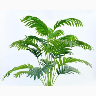 Artificial Plants and Flowers