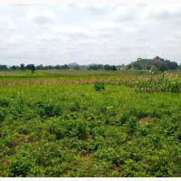 225sqm for #500, 000