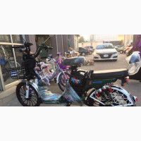 Brand New E-Bike with Carrier - Bicycles Tricycles